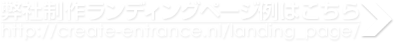 詳弊社制作ランディングページ例はこちら http://create-entrance.nl/landing_page/