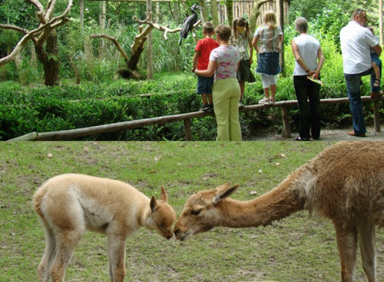 Zoo Parc Overloon